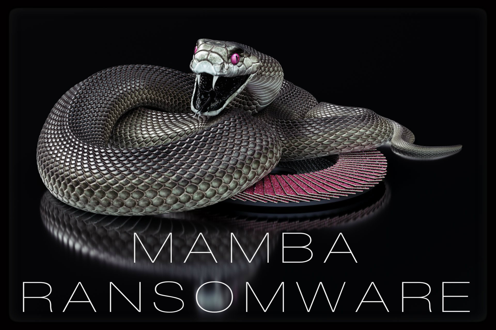 mamba black программа скачать бесплатно